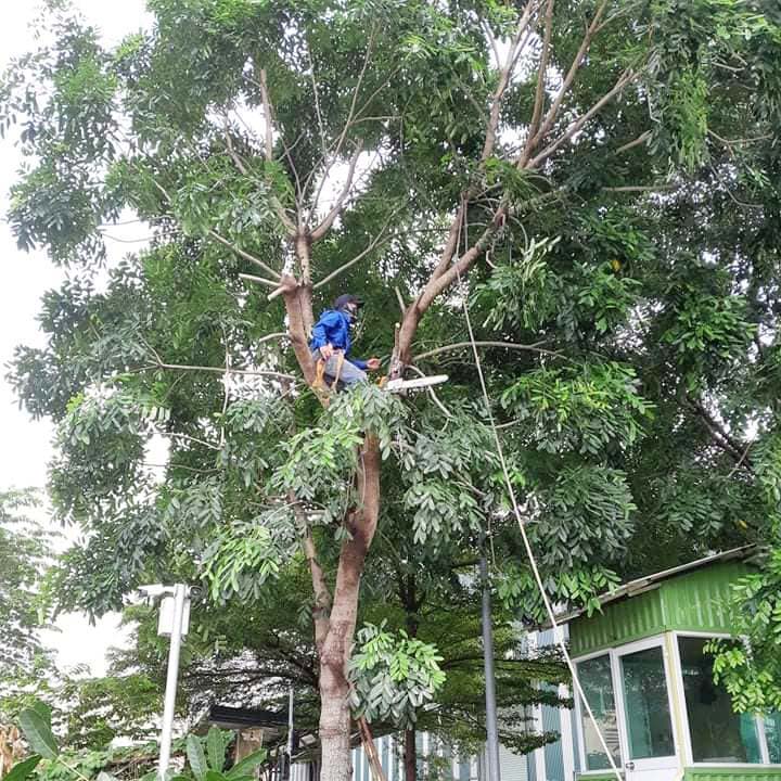 CÔNG TY TNHH DỊCH VỤ VÀ KỸ THUẬT PHÚ CƯỜNG